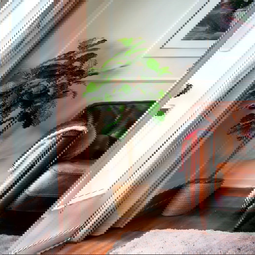 Artificial Fiddle Leaf Fig Trees | Fake Fiddle Leaf Fig | Faux Trees - Graceland Home and Living -