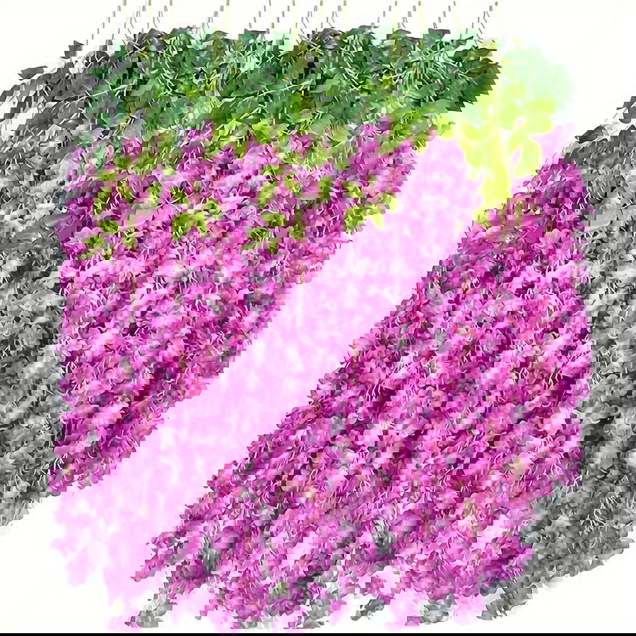 12 Pack Artificial Wisteria Flower Garlands - Graceland Home and Living - - #tag1#