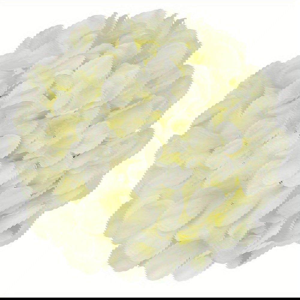 12pcs Lvory Silk Hydrangea Flowers With Stems - Graceland Home and Living - - #tag1#