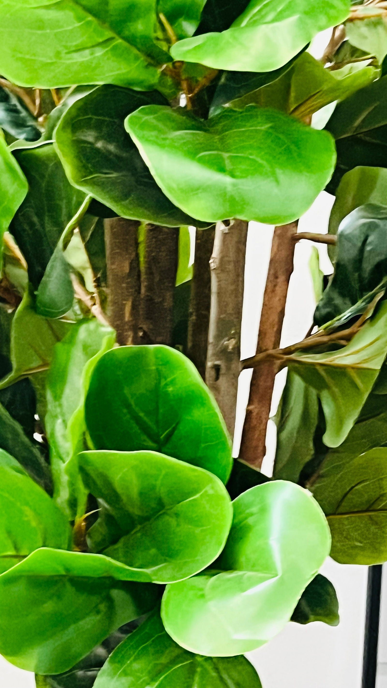 4ft Artificial Fiddle Leaf Fig Tree Indoor Outdoor Office Decorative tree - Graceland Home and Living - - #tag1#