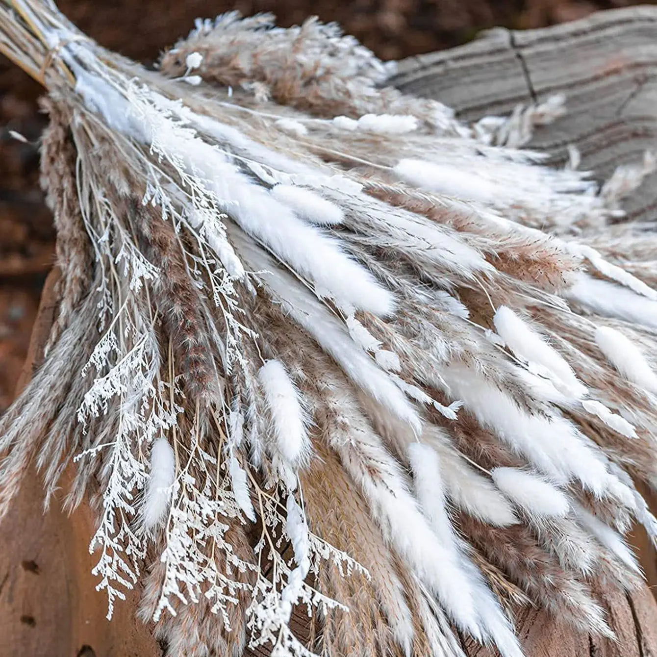 50pcs-reed dried flower bouquets set - Graceland Home and Living - - #tag1#