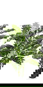 5ft Artificial Fiddle Leaf Fig Tree with Woven Seagrass Belly Basket - Graceland Home and Living - - #tag1#