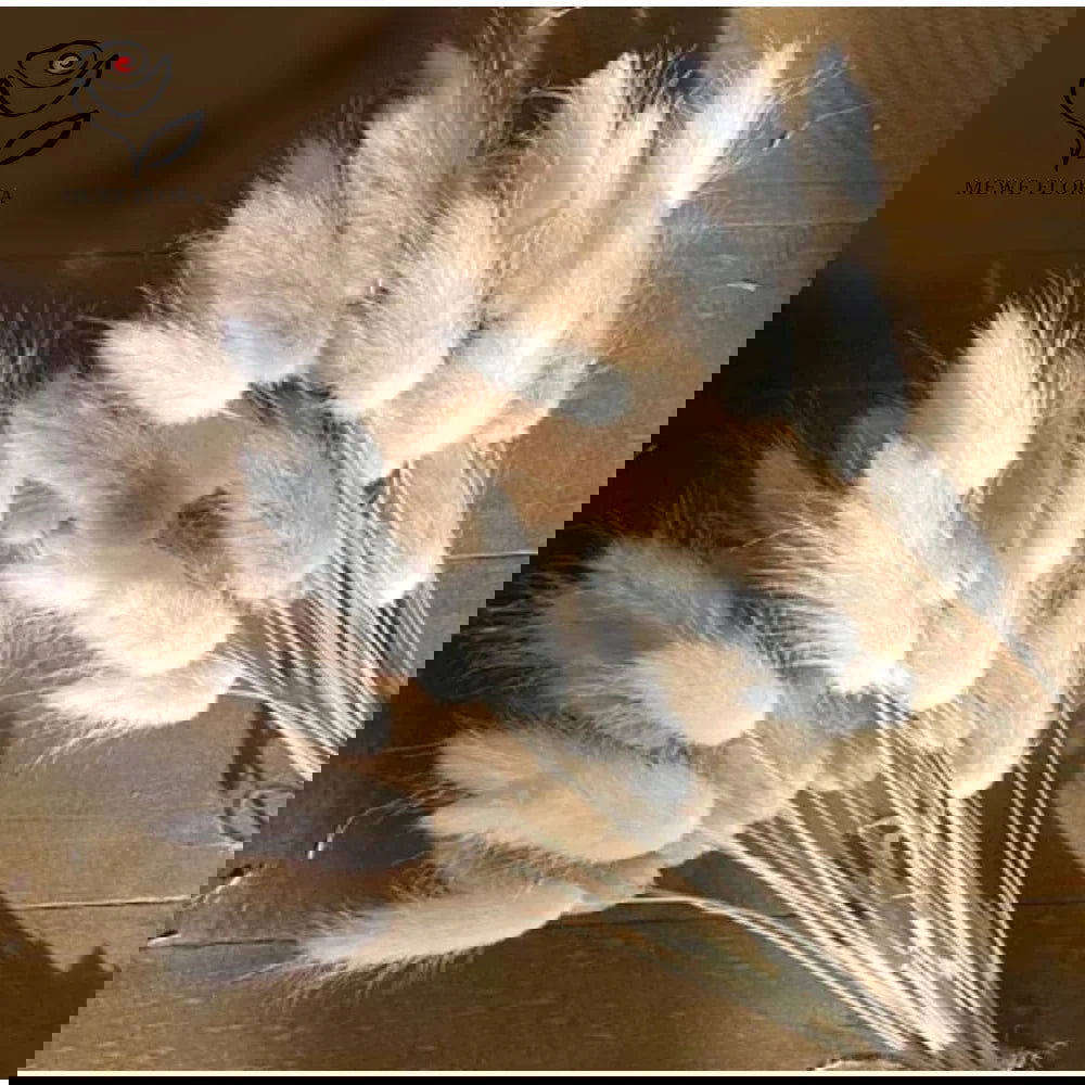 60pcs Mix Bunny Rabbit Tails Grass Dried Flowers Bouquet - Graceland Home and Living - - #tag1#