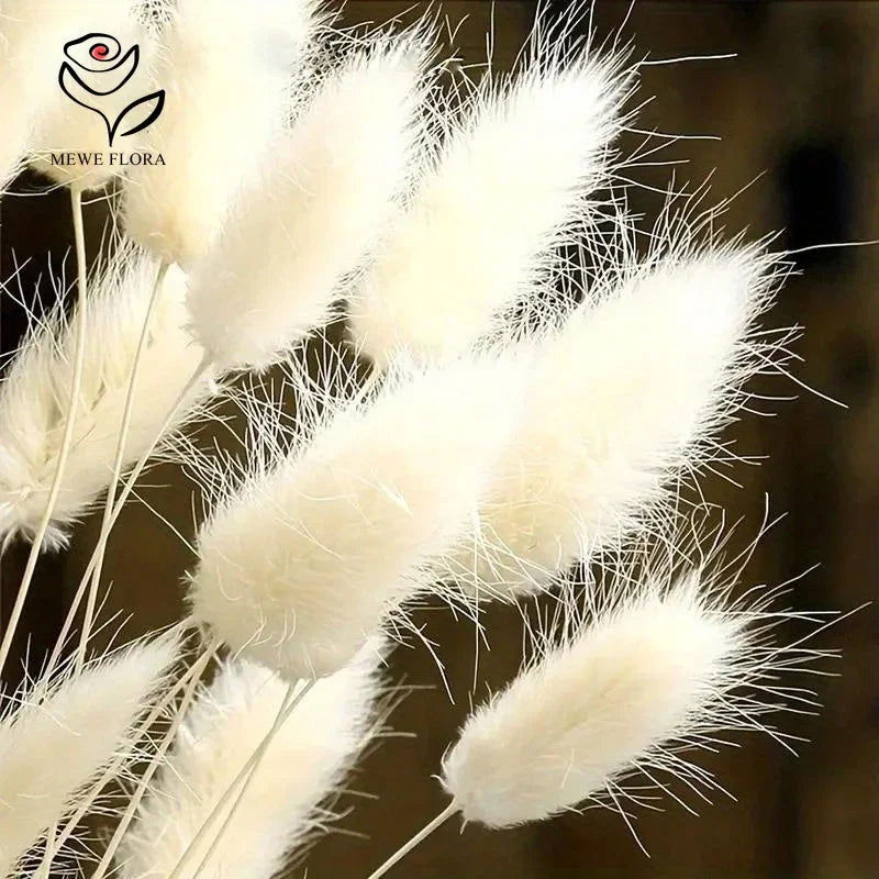 60pcs Mix Bunny Rabbit Tails Grass Dried Flowers Bouquet - Graceland Home and Living - - #tag1#