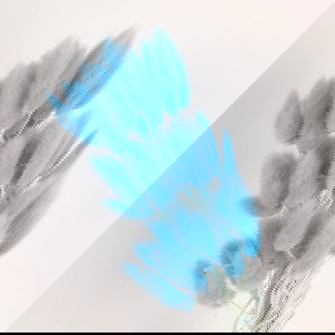 60pcs Mix Bunny Rabbit Tails Grass Dried Flowers Bouquet - Graceland Home and Living - - #tag1#