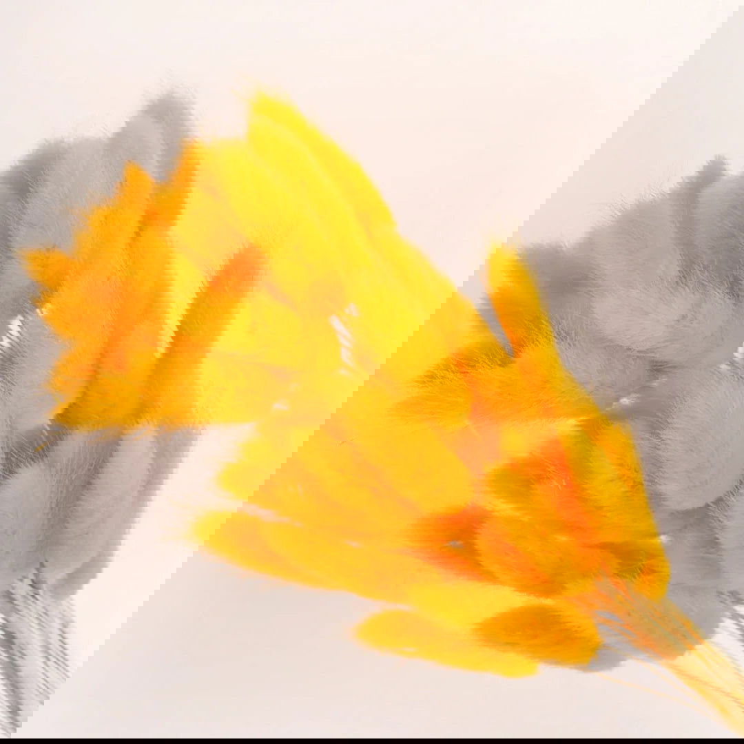 60pcs Mix Bunny Rabbit Tails Grass Dried Flowers Bouquet - Graceland Home and Living - - #tag1#