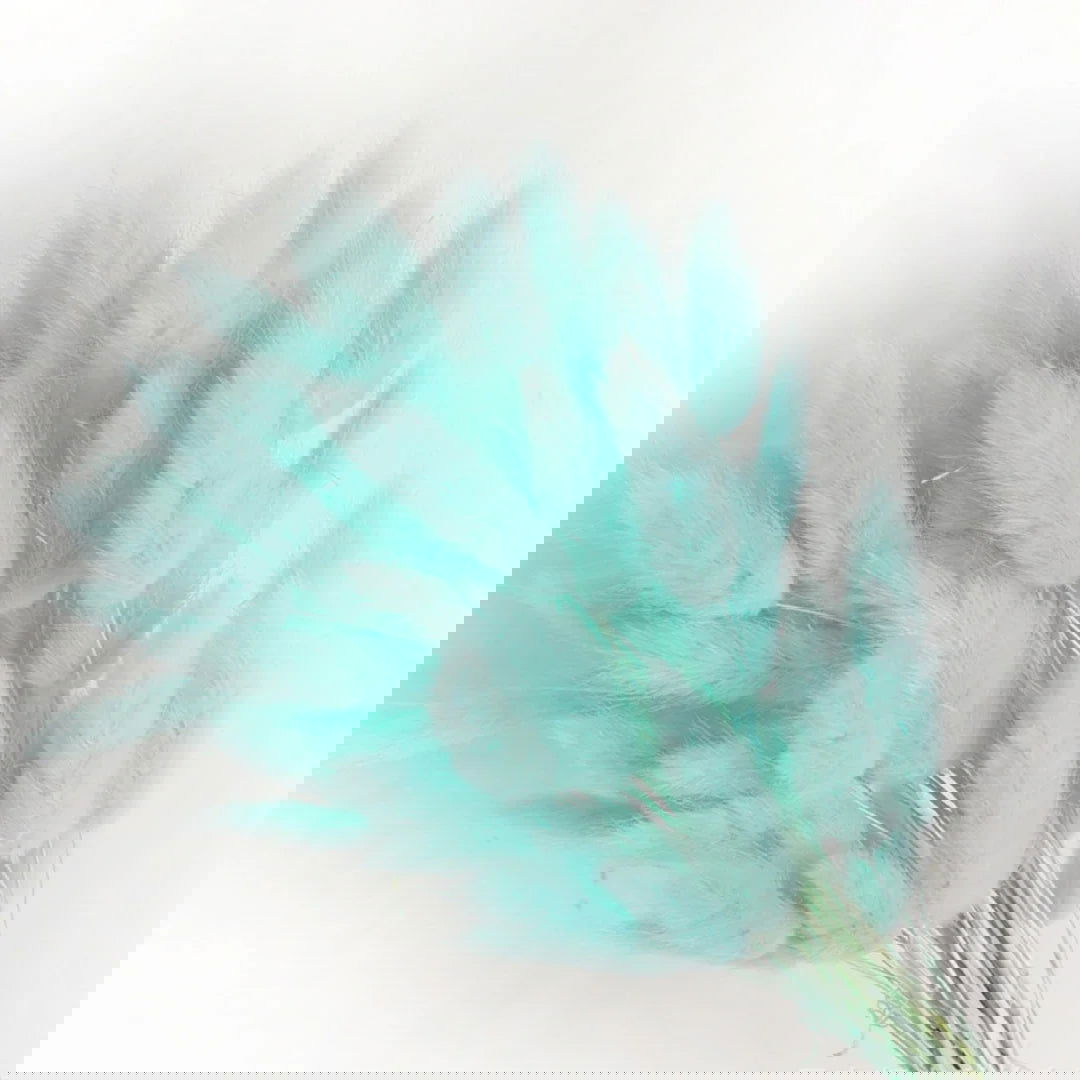 60pcs Mix Bunny Rabbit Tails Grass Dried Flowers Bouquet - Graceland Home and Living - - #tag1#