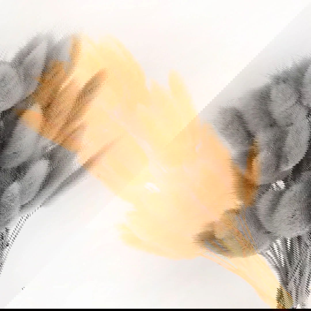 60pcs Mix Bunny Rabbit Tails Grass Dried Flowers Bouquet - Graceland Home and Living - - #tag1#