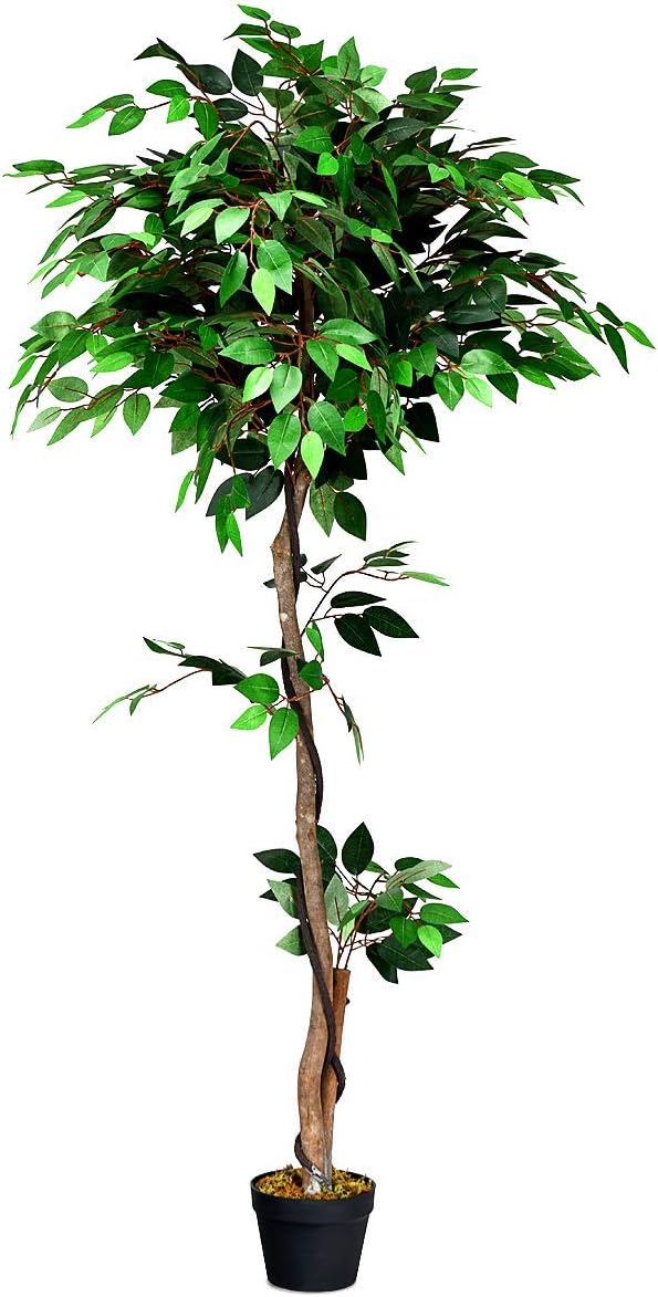 6FT Ficus Artificial Tree, Fake Wisteria Tree in Nursery Pot. - Graceland Home and Living - - #tag1#