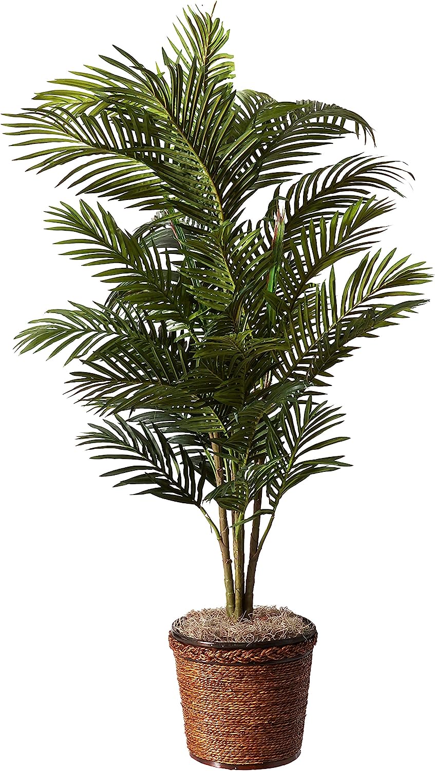 Areca Palm Decorative Silk Tree with Basket, 4.5Ft Tall - Graceland Home and Living - - #tag1#
