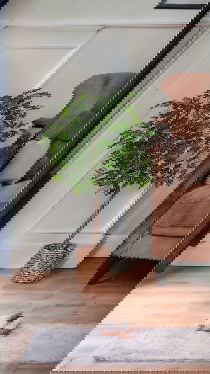 Artificial Ficus Silk Tree, 4FT Faux Plastic Ficus Plant in Pot - Graceland Home and Living -