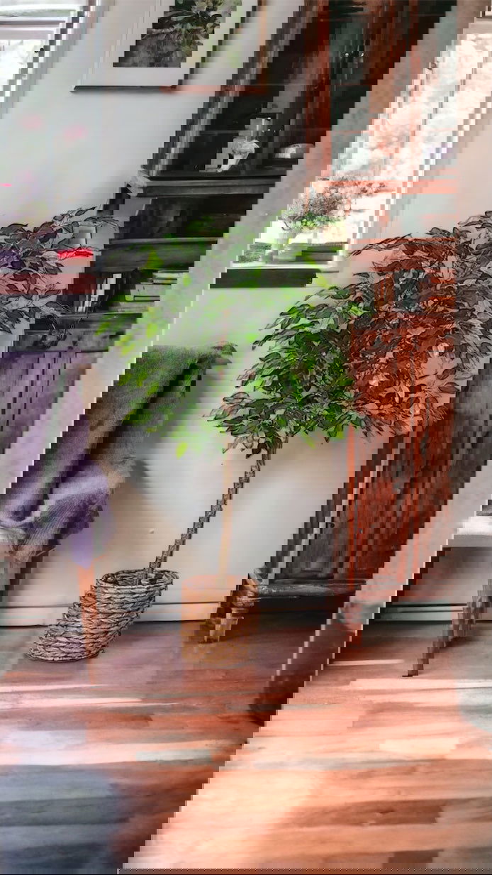 Artificial Ficus Silk Tree, 4FT Faux Plastic Ficus Plant in Pot - Graceland Home and Living - - #tag1#