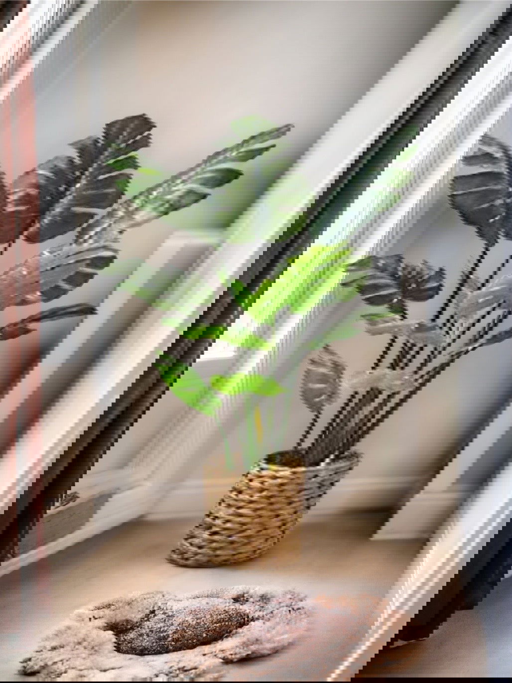 Artificial Monstera Deliciosa Plant Tree 5ft/59'' Fake Tropical Palm Tree with 10 Leaves - Graceland Home and Living -