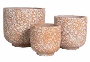 Cement Flower Pot- The Bubble collection - Graceland Home and Living -