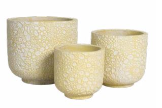 Cement Flower Pot- The Bubble collection - Graceland Home and Living -