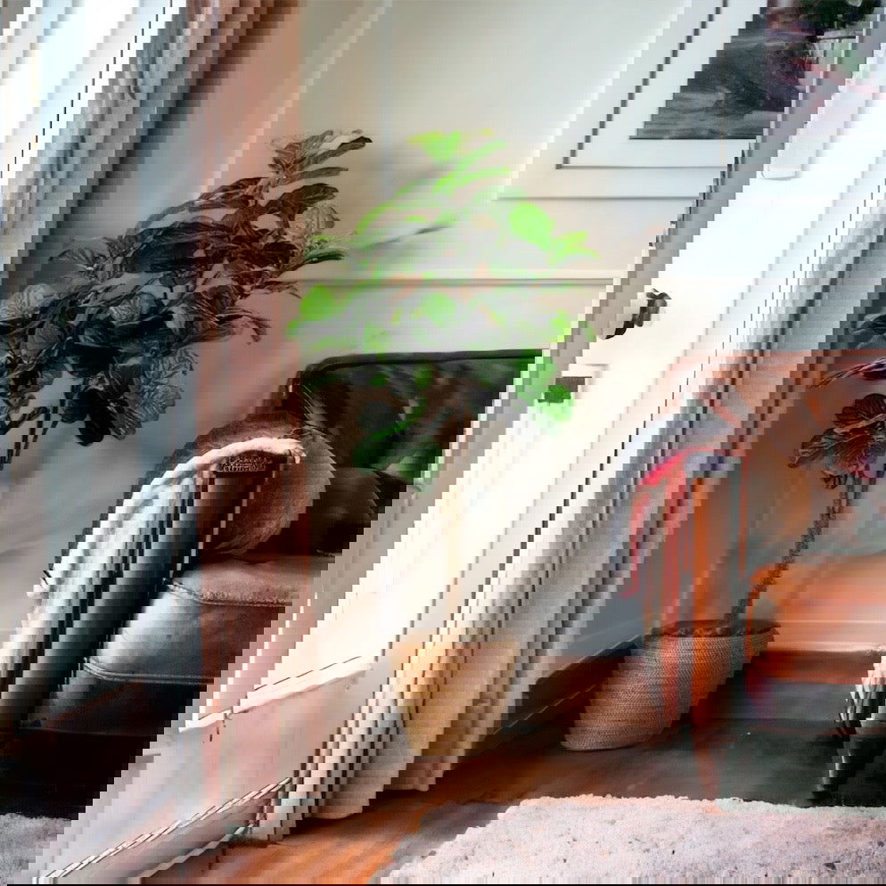 Faux Fiddle Leaf Fig Tree in a plastic nursery pot - Graceland Home and Living -