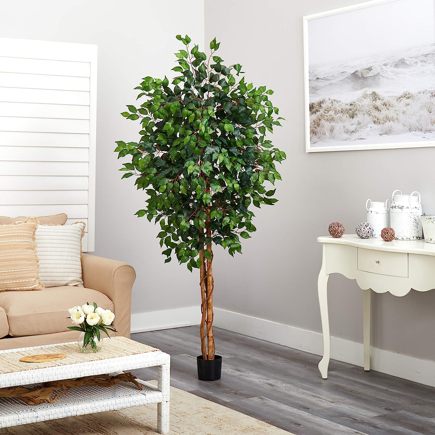 Ficus Silk Tree, 6-Feet, Green, 1008 individual leaves - Graceland Home and Living -