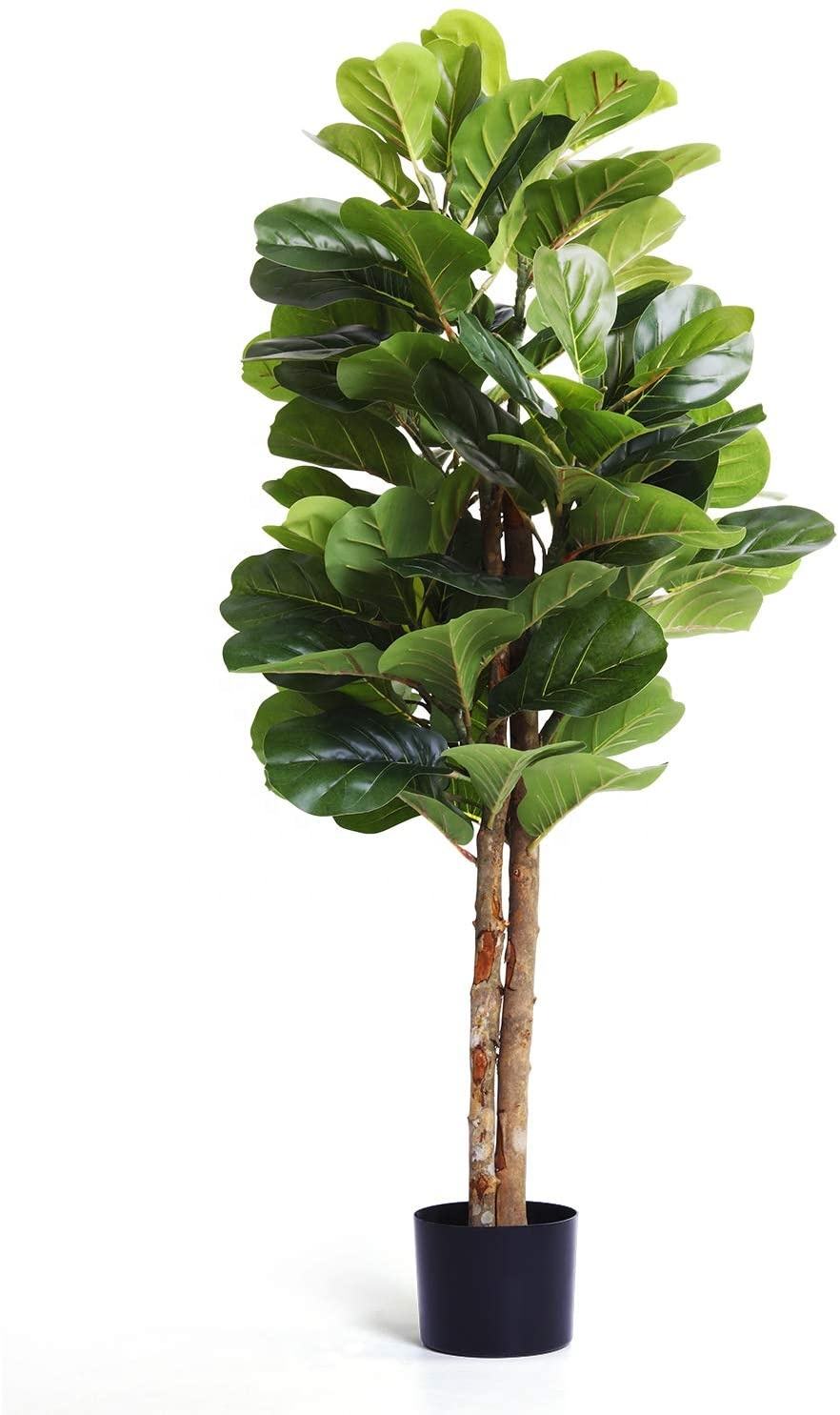 Fiddle Leaf Fig Tree for Indoor Decoration - Graceland Home and Living -