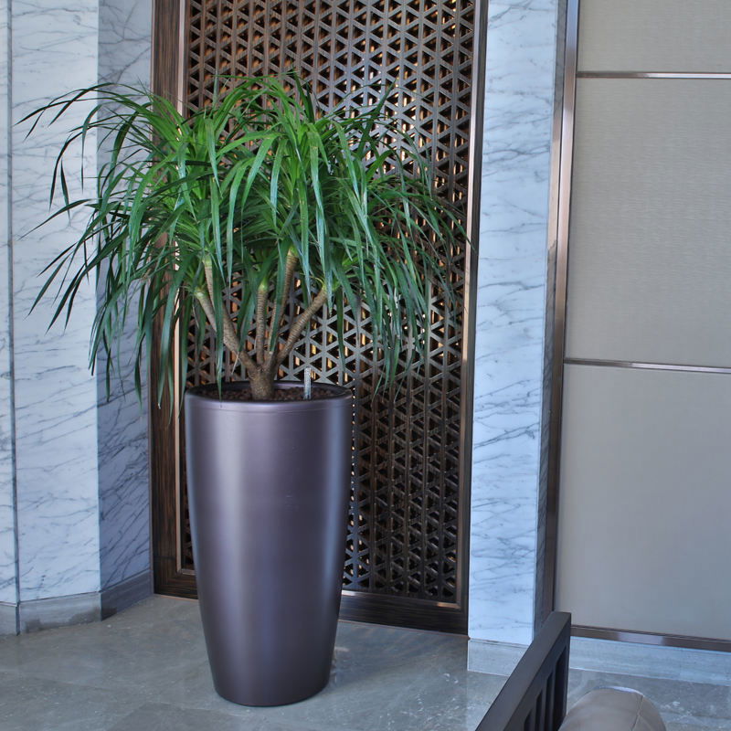 Large Big Stand Square White Plastic Garden Outdoor Planters Flower Plant Pots - Graceland Home and Living -