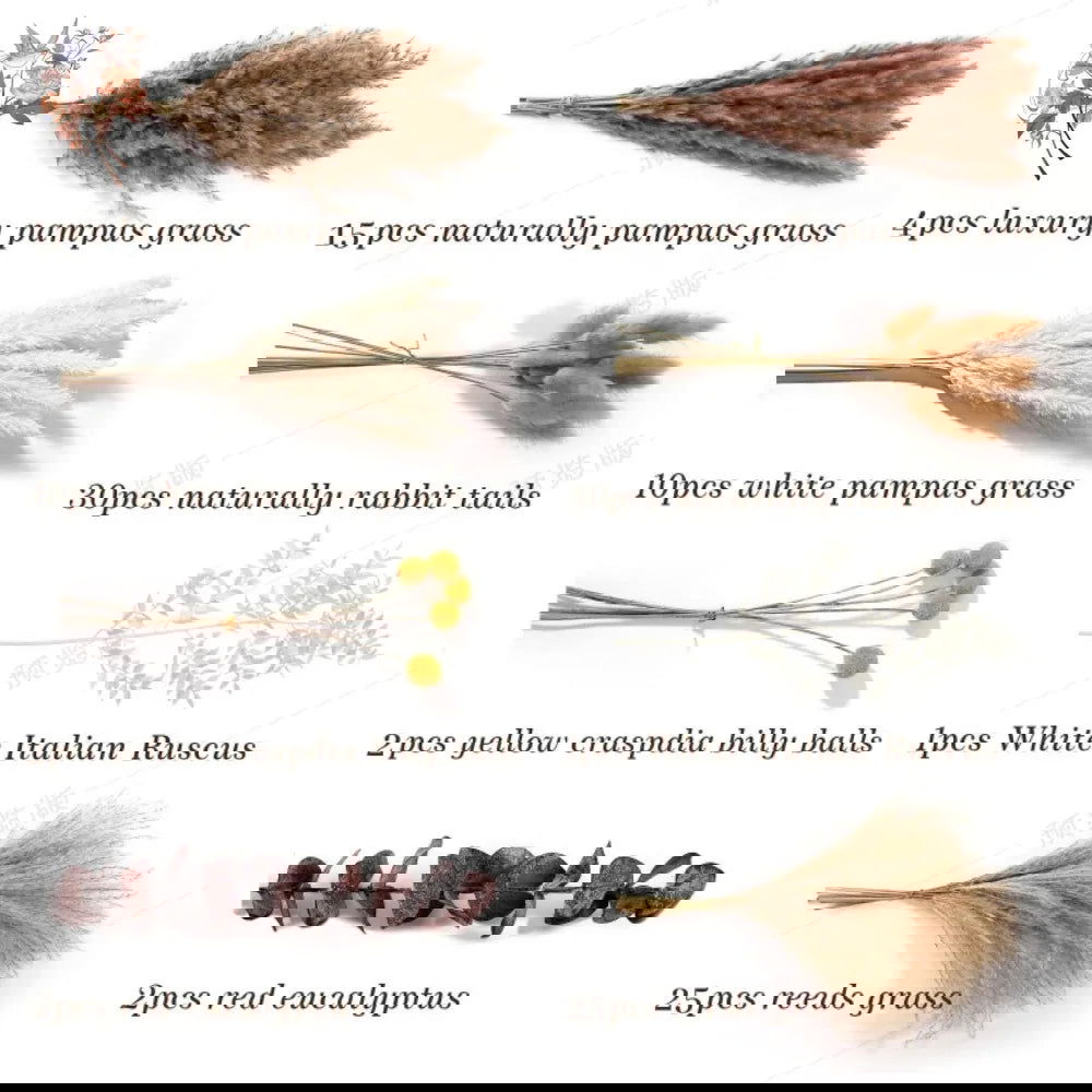 Natural Pampas Dried Flowers. Floral Bouquet For Home Vase Decoration - Graceland Home and Living -