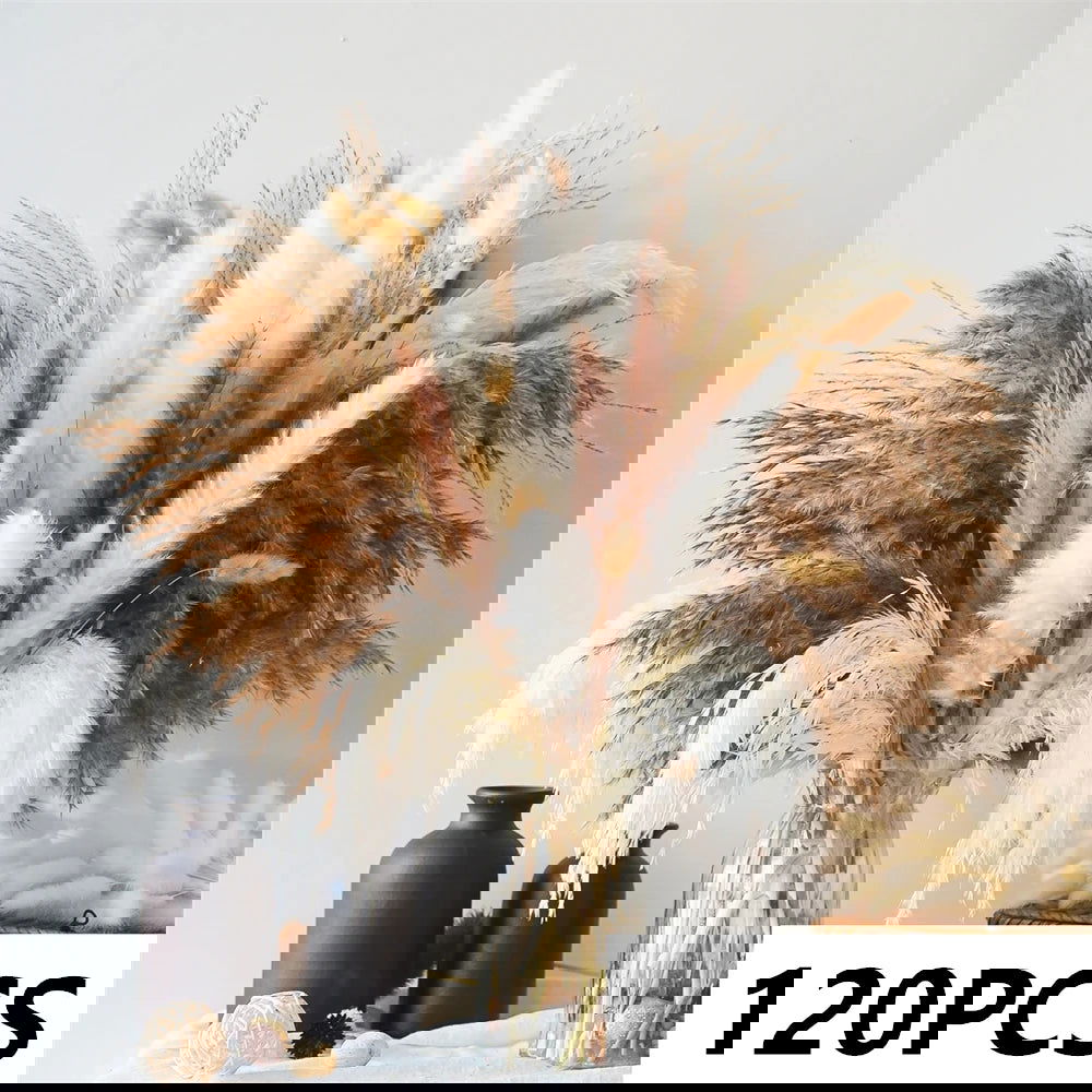 Natural Pampas Dried Flowers. Floral Bouquet For Home Vase Decoration - Graceland Home and Living -