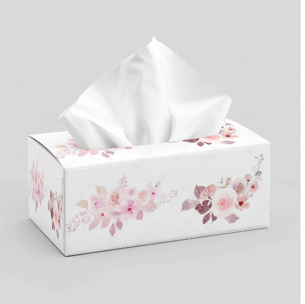 Olena 3 Ply Soft & Strong Facial Tissue, Hypoallergenic and Dermatologist Tested, 24 Boxes, 100 Tissues per Box - Graceland Home and Living -