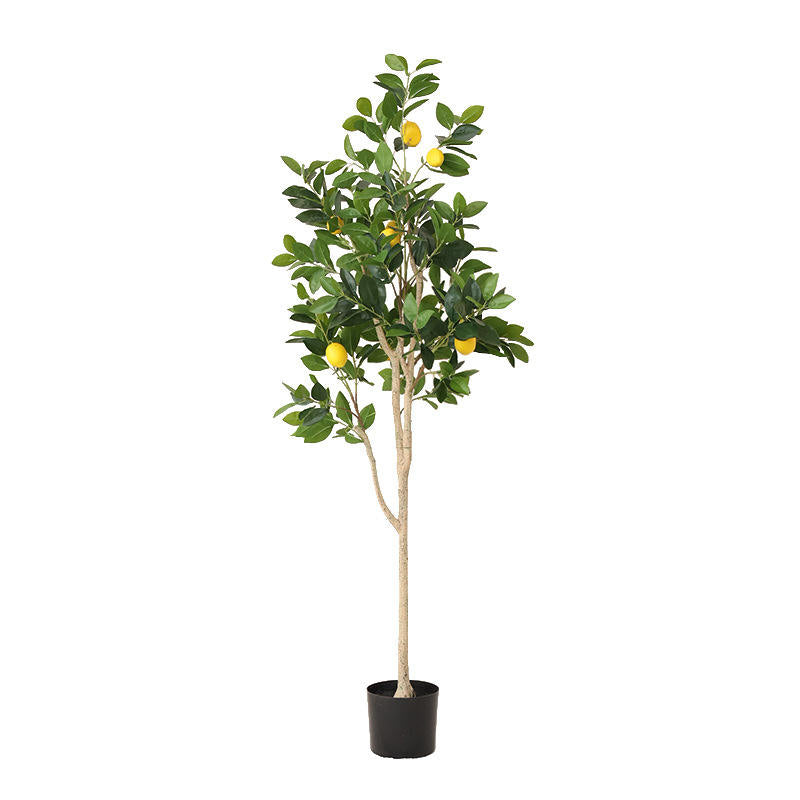 Realistic 1.5M (5FT) Height Artificial Ornamental Bonsai Lemon Tree - Graceland Home and Living -