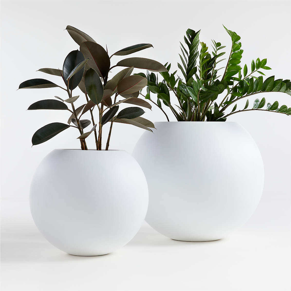 White Planters Graceland Home and Living- Exquisite Home items, Artificial Trees