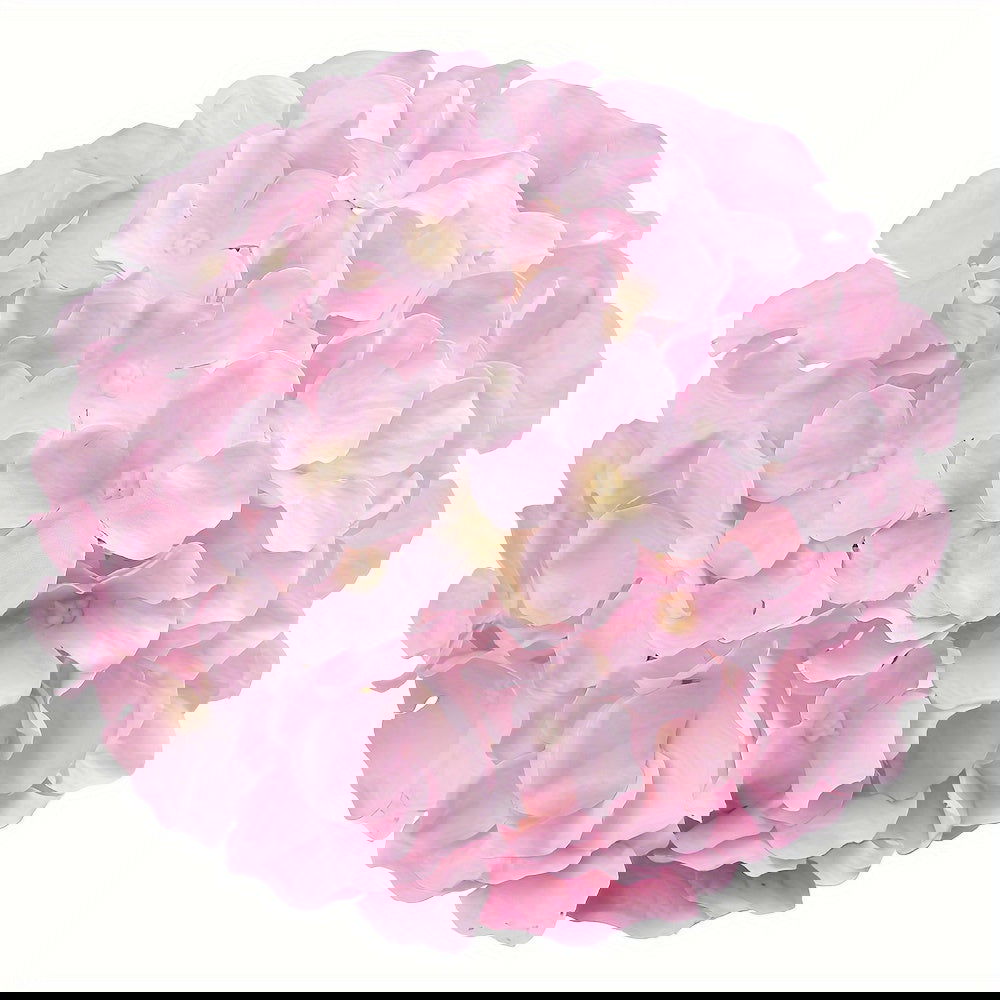 10pcs Artificial Flowers Pink  Hydrangea Silk Flowers Heads - Graceland Home and Living -  - #tag1#