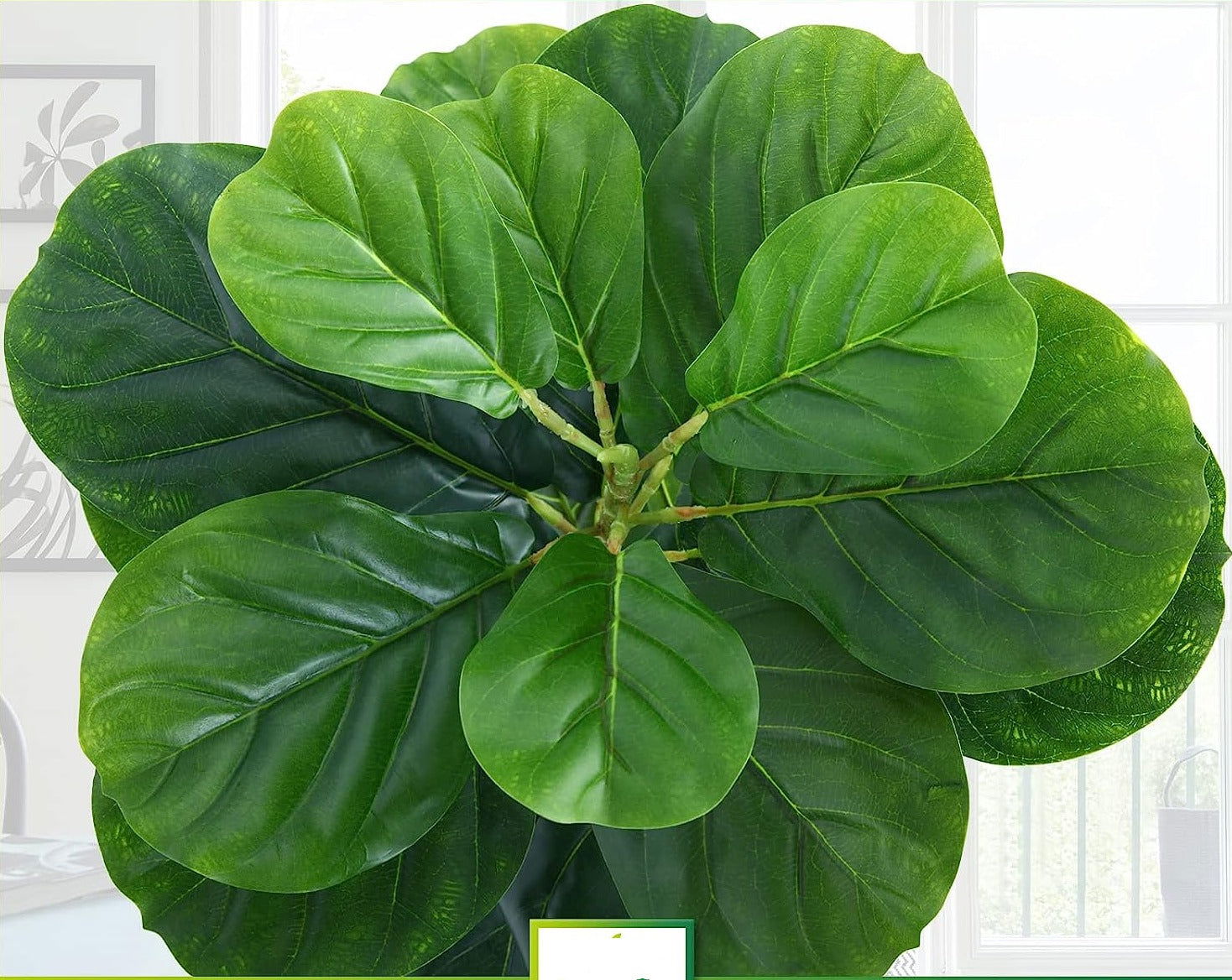 30" Artificial Fiddle Leaf Fig Tree 2Pack - Graceland Home and Living -  - #tag1#