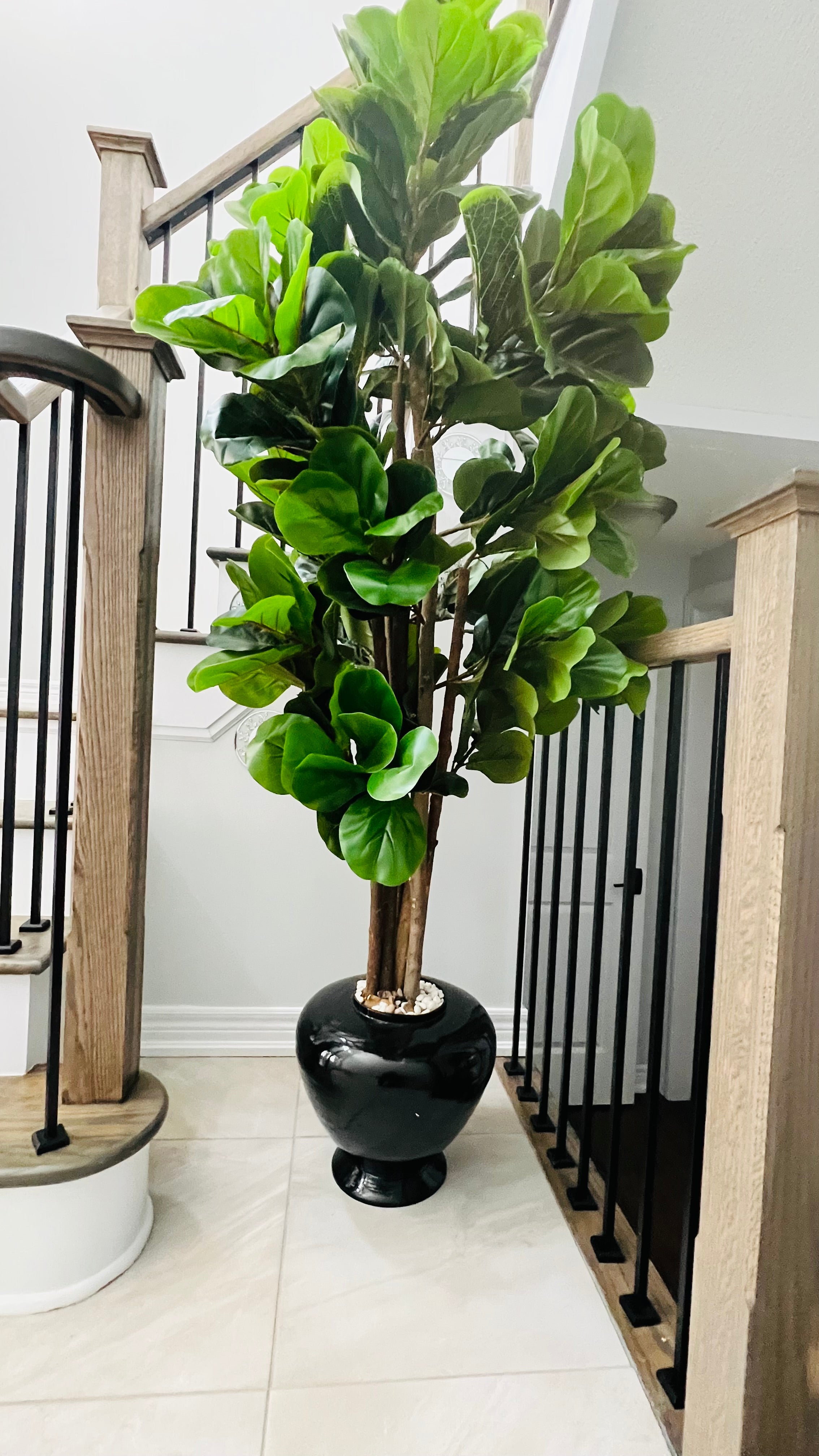 4ft Artificial Fiddle Leaf Fig Tree Indoor Outdoor Office Decorative tree Graceland Home and Living