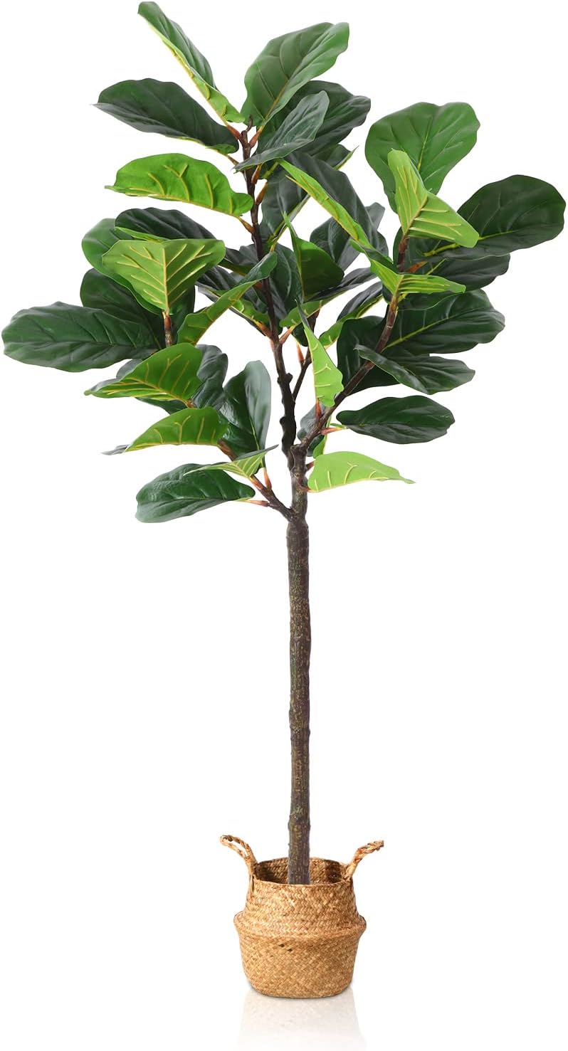 5 Feet Artificial fiddle leaf tree with 38 Leaves. Comes with Woven Seagrass Belly Basket Graceland Home and Living