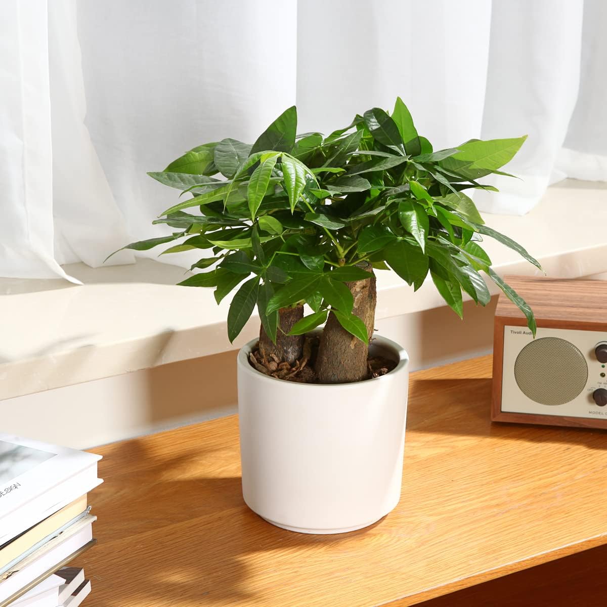 6 Inch Plant Pot Matte White Ceramic Planter for Indoor Outdoor Plants Graceland Home and Living
