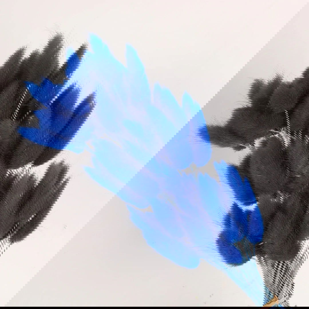 60pcs Mix Bunny Rabbit Tails Grass Dried Flowers Bouquet - Graceland Home and Living -  - #tag1#