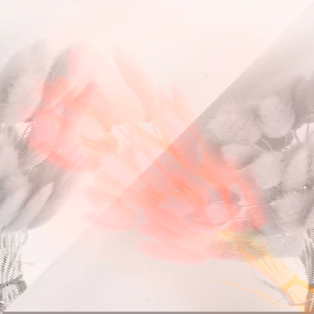 60pcs Mix Bunny Rabbit Tails Grass Dried Flowers Bouquet - Graceland Home and Living -  - #tag1#