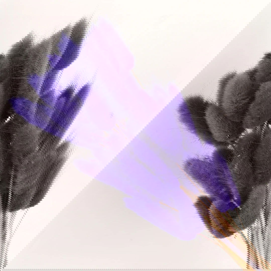 60pcs Mix Bunny Rabbit Tails Grass Dried Flowers Bouquet - Graceland Home and Living -  - #tag1#