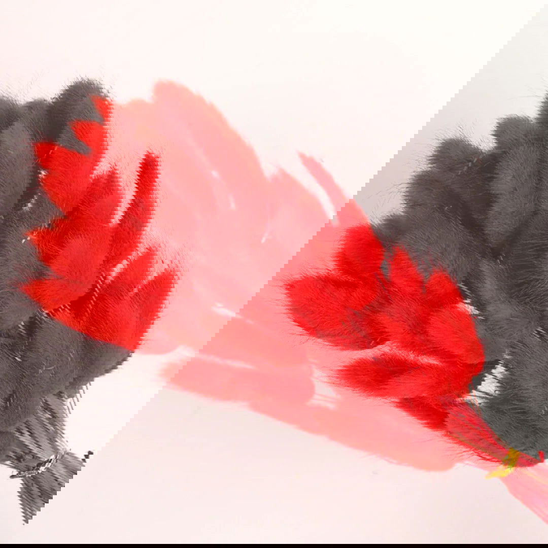 60pcs Mix Bunny Rabbit Tails Grass Dried Flowers Bouquet - Graceland Home and Living -  - #tag1#