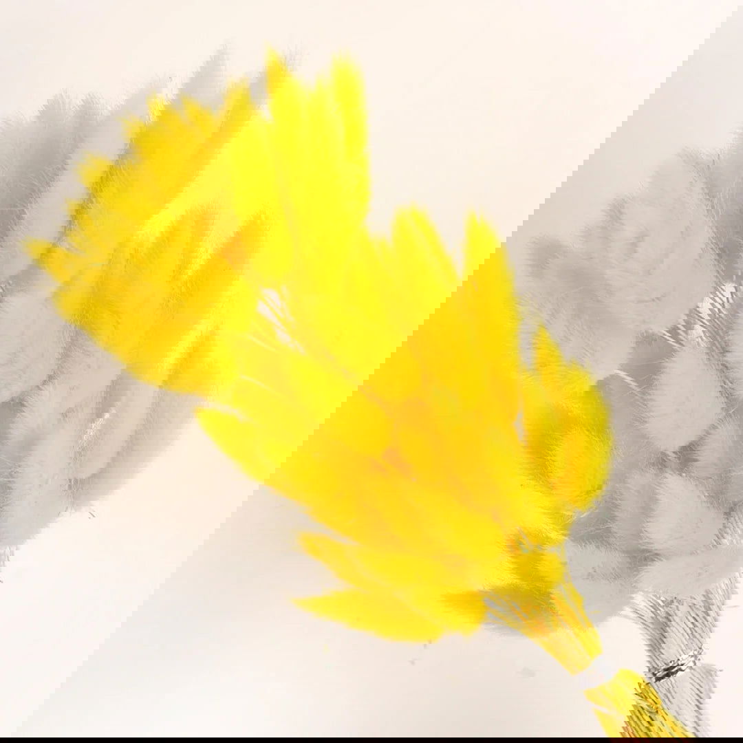 60pcs Mix Bunny Rabbit Tails Grass Dried Flowers Bouquet - Graceland Home and Living -  - #tag1#