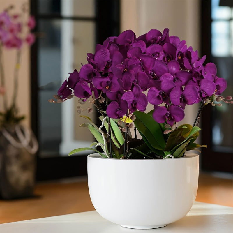 6pcs, Faux Orchid Flowers, 37.8" Velvet Artificial Orchids Flowers Long Stem Artificial Flowers For Tall Vase - Graceland Home and Living -  - #tag1#