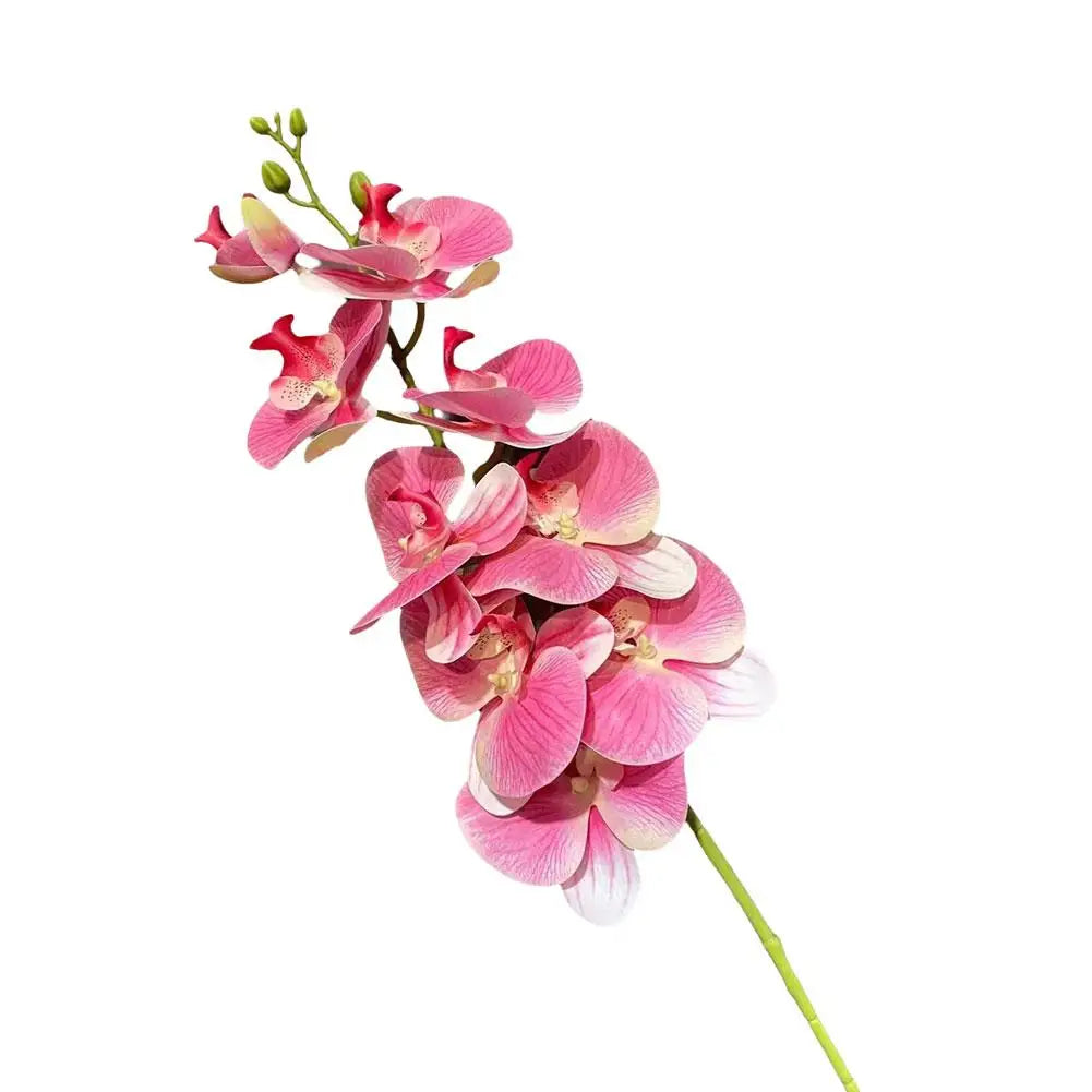 7/9 Heads Silk Orchid Phalaenopsis Flowers - Graceland Home and Living -  