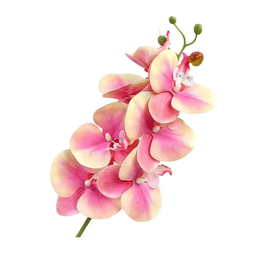 7/9 Heads Silk Orchid Phalaenopsis Flowers - Graceland Home and Living -  