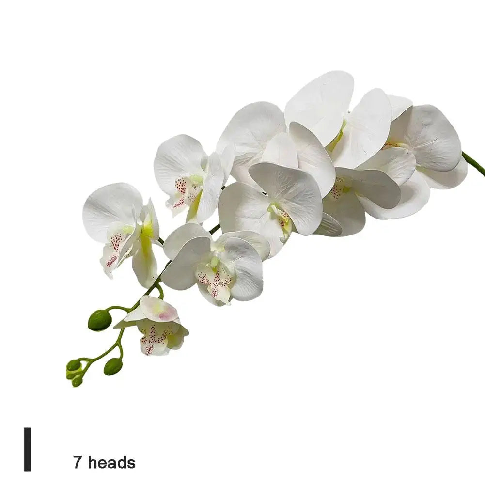 7/9 Heads Silk Orchid Phalaenopsis Flowers - Graceland Home and Living -  