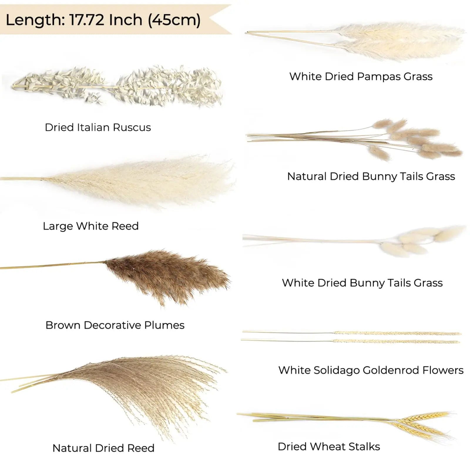 80pcs Pampas Grass Flowers Set, Dried Plants Bouquet Arrangement,100% Natural Dry Flowers - Graceland Home and Living -  