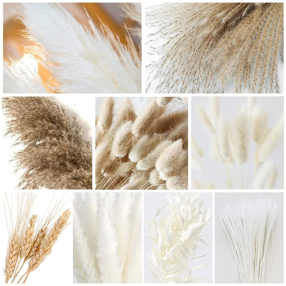 80pcs Pampas Grass Flowers Set, Dried Plants Bouquet Arrangement,100% Natural Dry Flowers - Graceland Home and Living -  - #tag1#