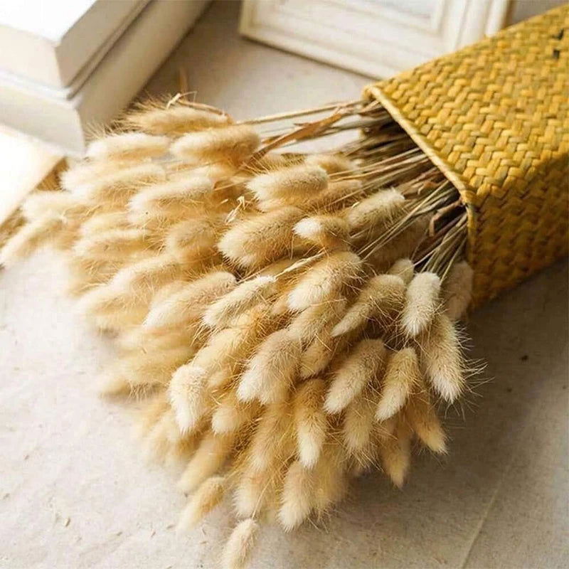 80pcs Pampas Grass Flowers Set, Dried Plants Bouquet Arrangement,100% Natural Dry Flowers - Graceland Home and Living -  - #tag1#