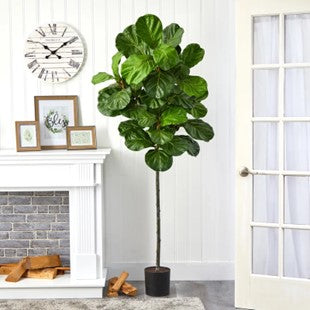 Artificial Fiddle Leaf Fig Tree Graceland Home and Living