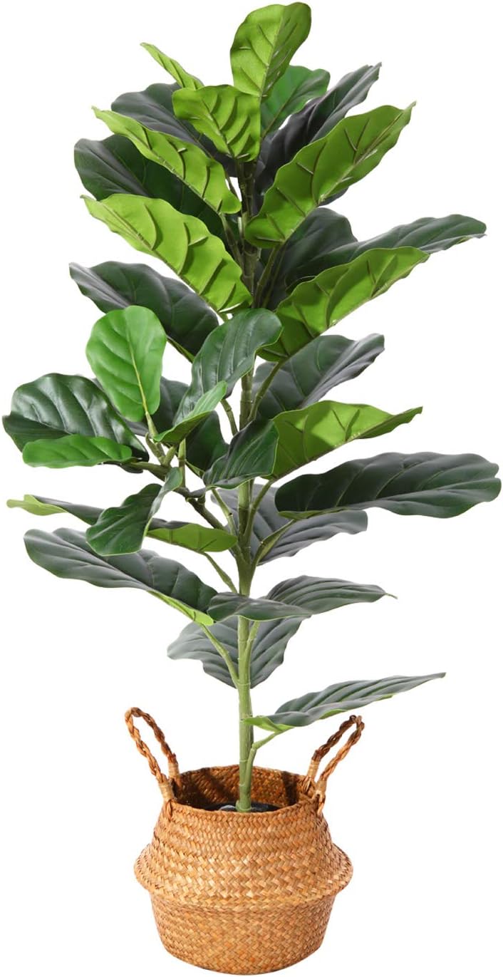 Artificial 39inch Fiddle Leaf tree, with 32 Leaves in Pot and Woven Seagrass Belly Basket - Graceland Home and Living -  - #tag1#
