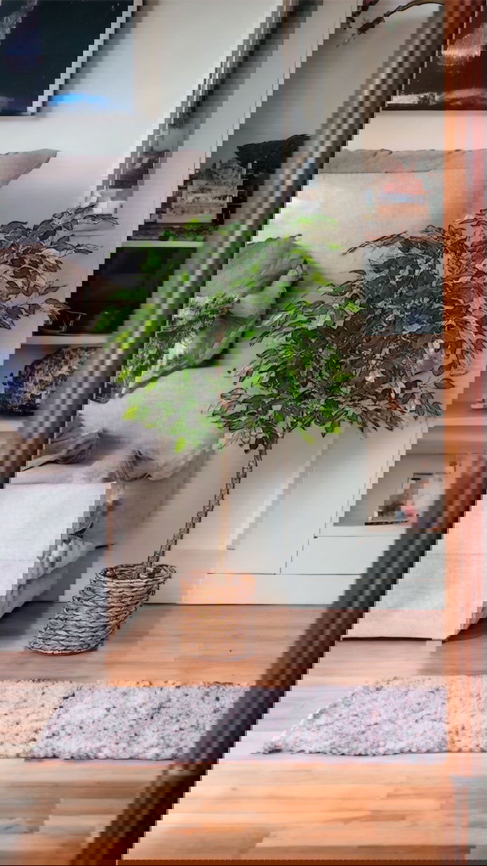 Artificial Ficus Silk Tree, 4FT Faux Plastic Ficus Plant in Pot - Graceland Home and Living -  