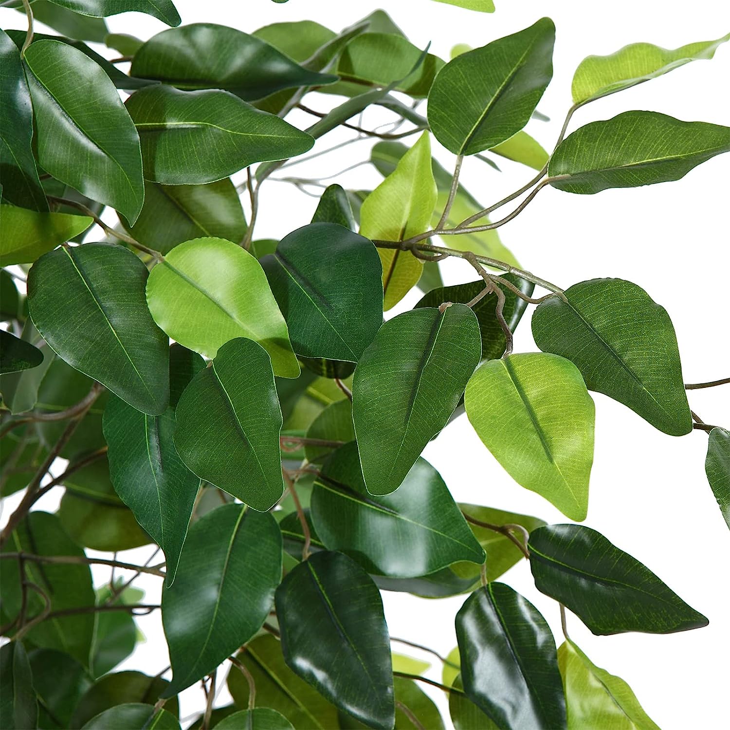 Artificial Ficus Silk Tree, 4FT Faux Plastic Ficus Plant in Pot - Graceland Home and Living -  