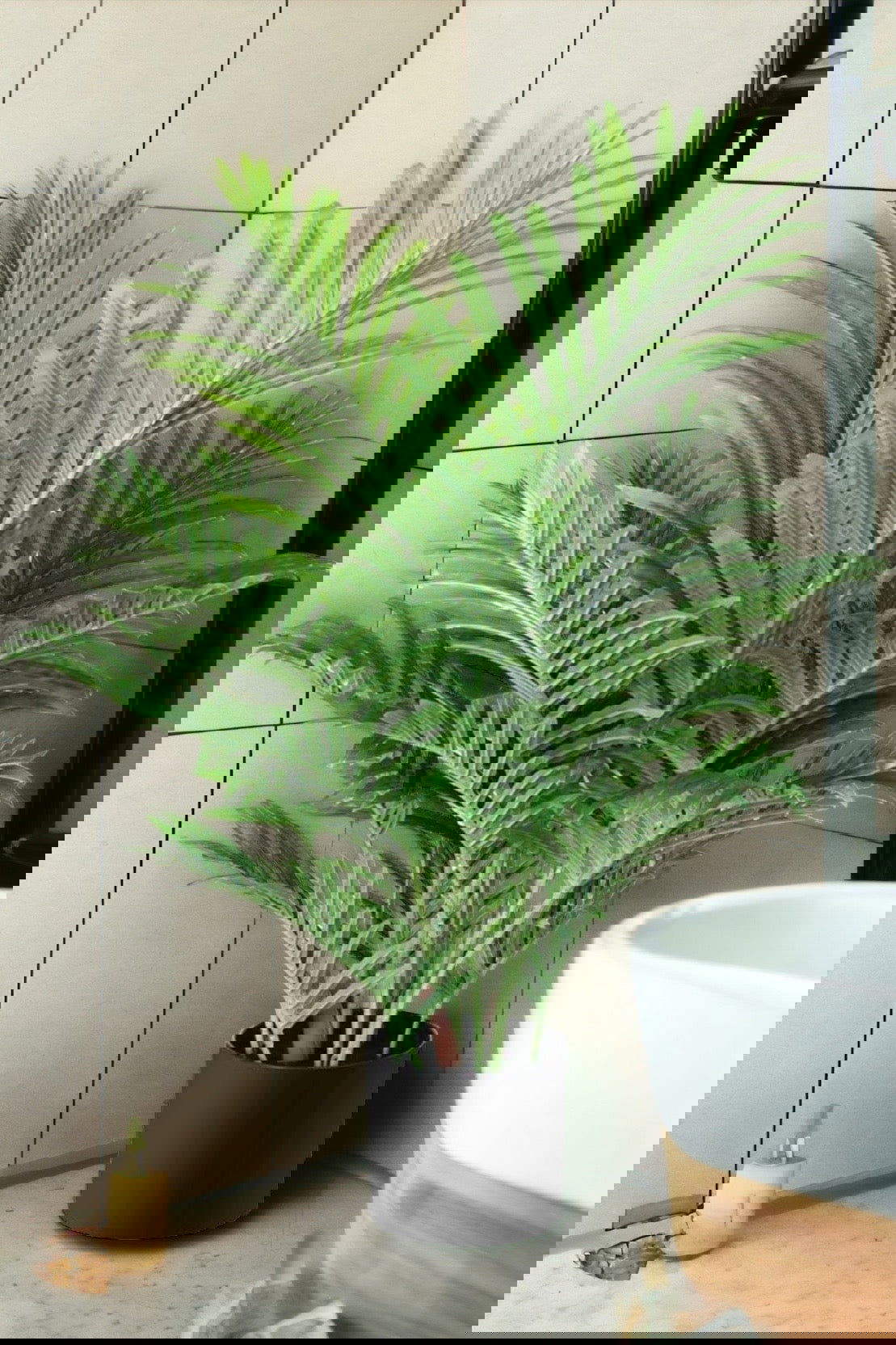 Artificial Majestic Palm Tree - Graceland Home and Living -  - #tag1#
